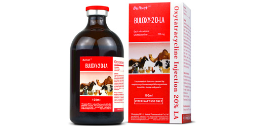 Buloxy_20_LA.oxytetracyclin